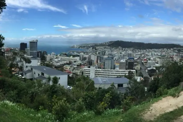Home Swap Wellington - Live Like a Local in a Creative Hub