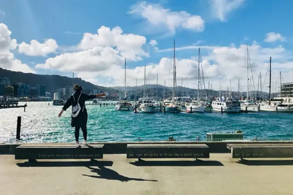Home Swap Wellington - When to Workation in Wellington