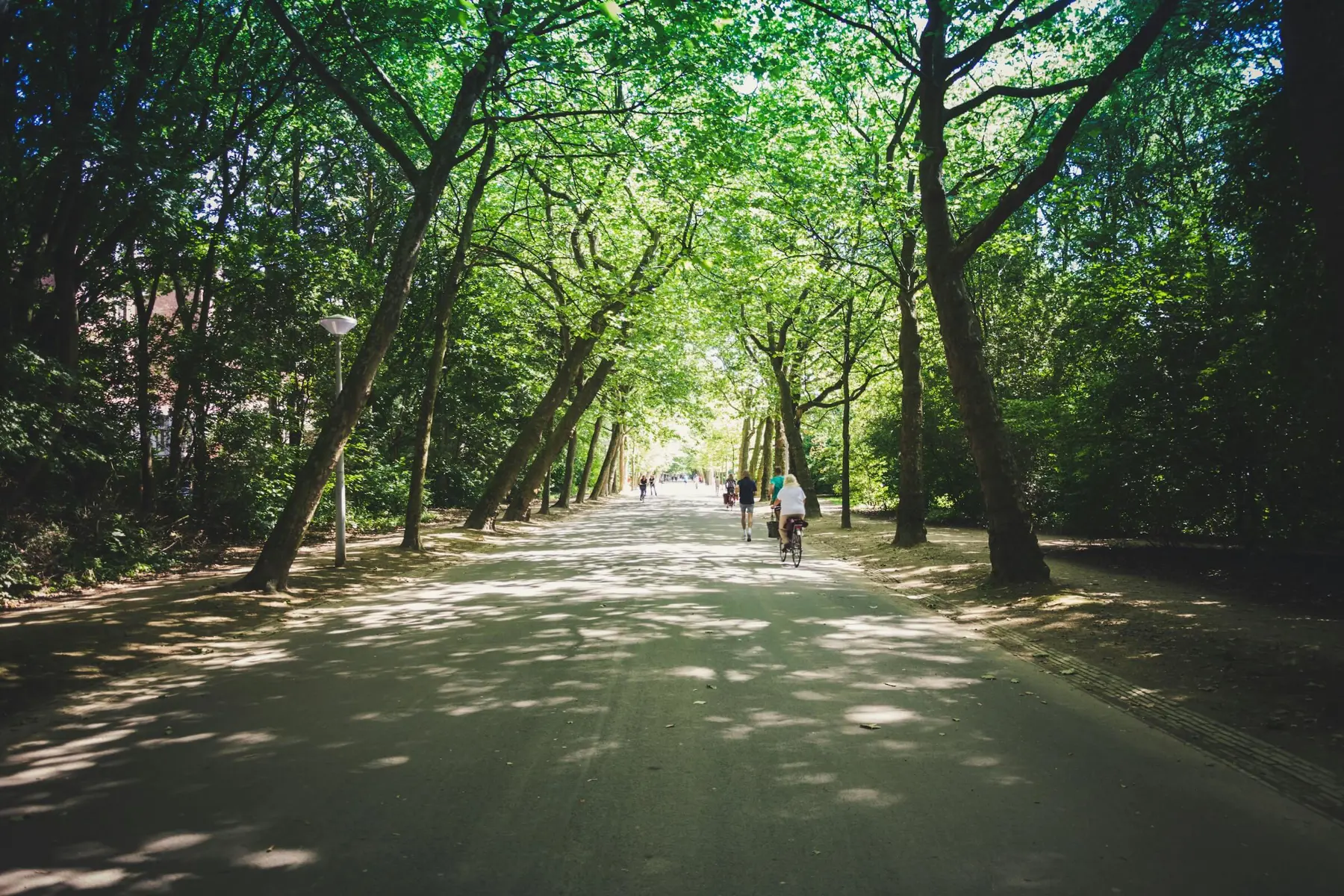 workation in amsterdam neighborhoods oud west vondelpark