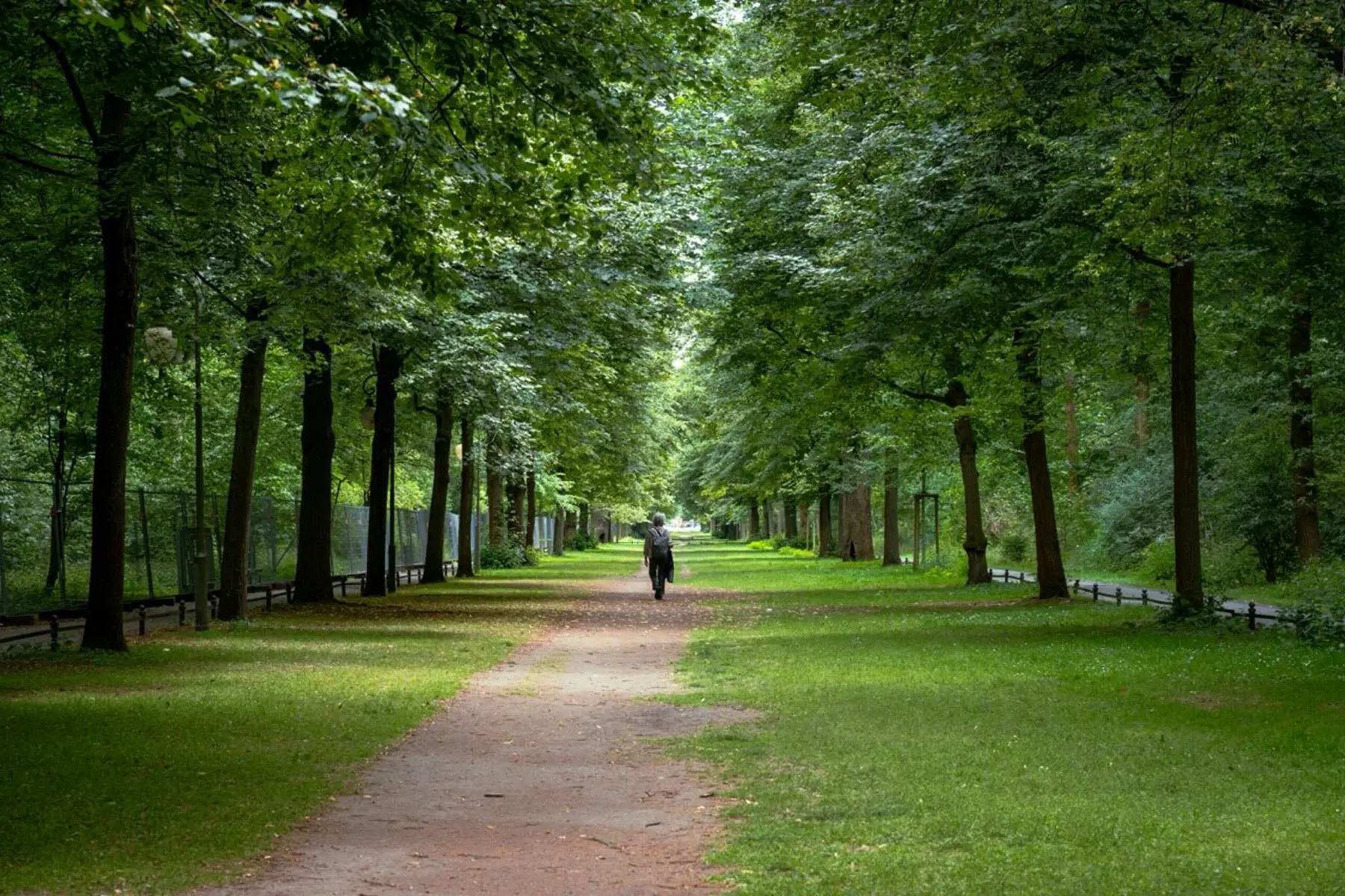 berlin Tiergarten